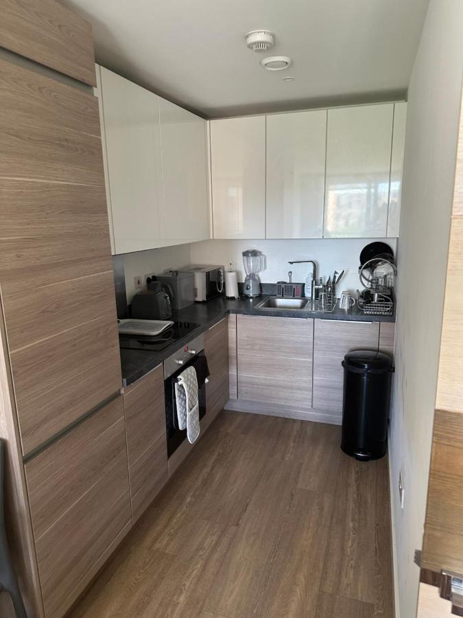 Luxury One Bedroom Apartment Лондон Екстер'єр фото